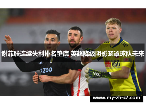 谢菲联连续失利排名垫底 英超降级阴影笼罩球队未来 谢菲联连续失利排名垫底 英超降级阴影笼罩球队未来